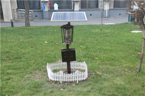 学校安装使用太阳能灭蚊灯户外灭蚊