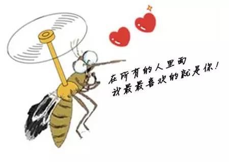 蚊子的生活习性