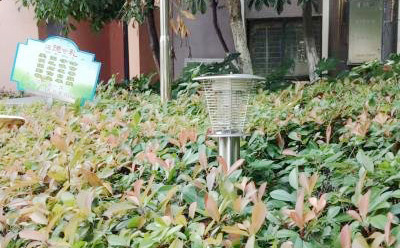 MZ05医院户外灭蚊灯