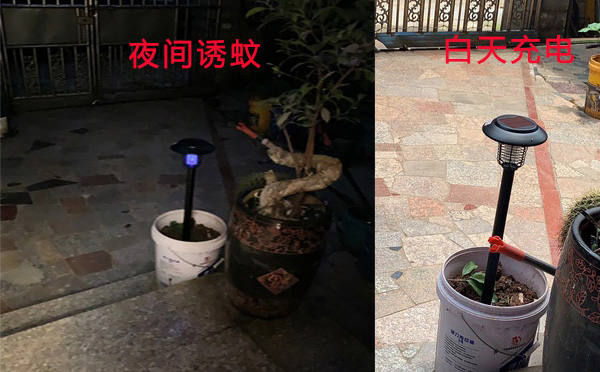 尚科SX08户外灭蚊灯价格图片