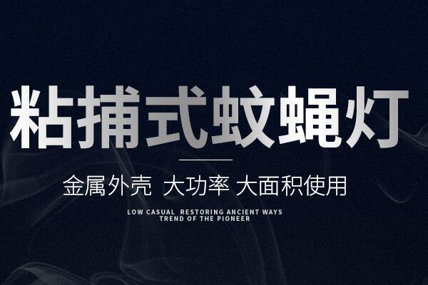 粘捕式灭蝇灯ZB002