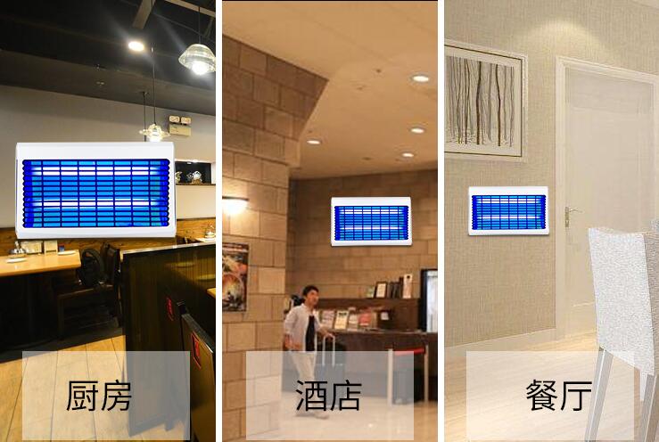 ZB002粘捕式灭蝇灯适用与食堂餐厅酒店