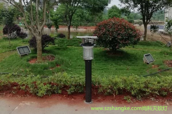 大型户外太阳能灭蚊灯mw09景观使用实拍图