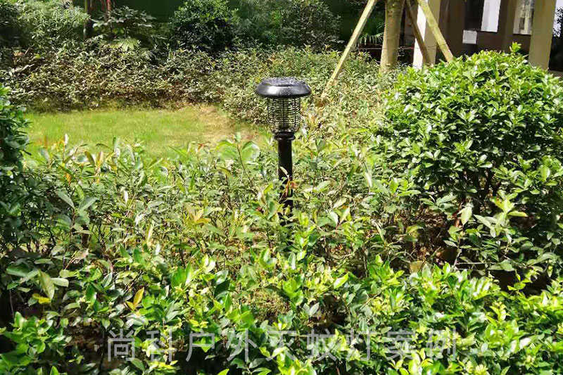 户外太阳能小区灭蚊灯效果