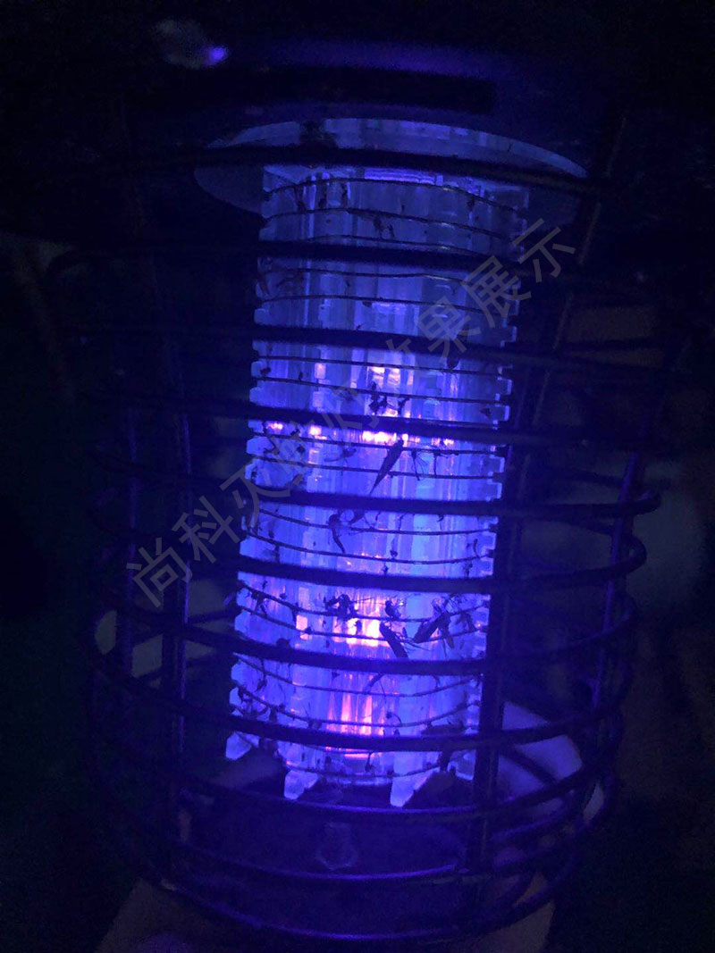 江苏葡萄果园灭蚊灯杀虫效果实拍