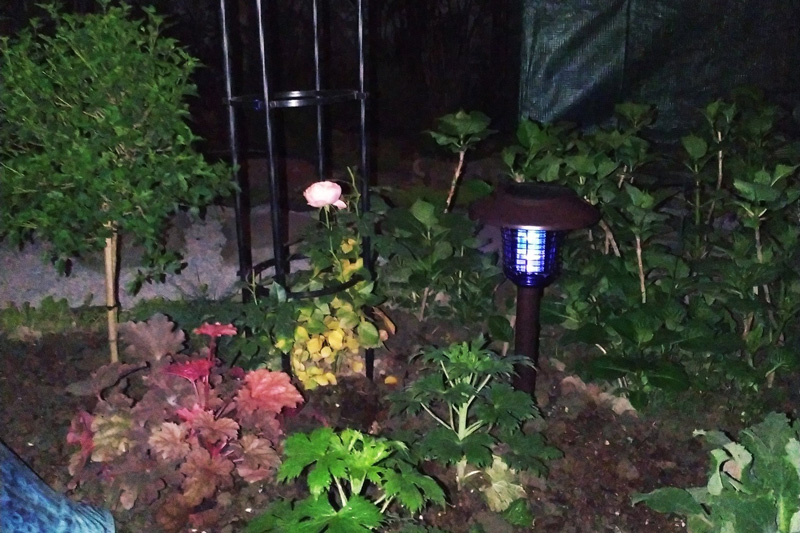 户外太阳能灭蚊灯