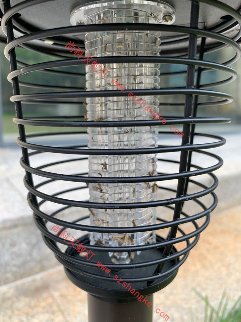 广东庭院花园灭蚊灯效果图片
