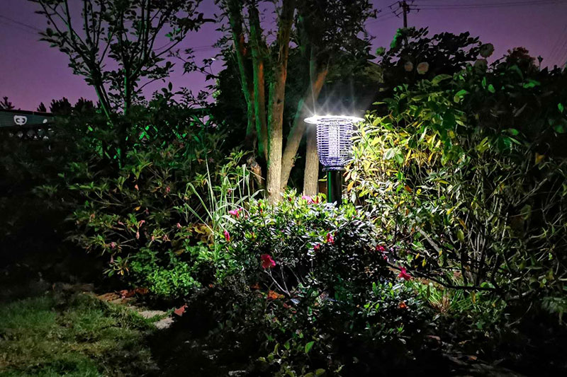 合肥大观园景观公司景观太阳能灭蚊灯实拍