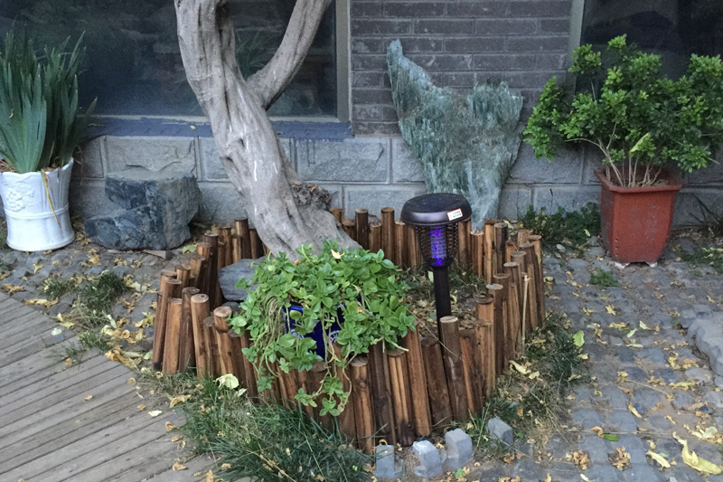 农村庭院灭蚊技巧—太阳能灭蚊灯