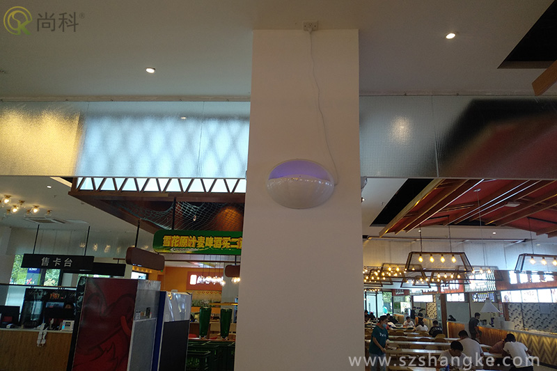 苏州食堂粘捕式灭蝇灯效果