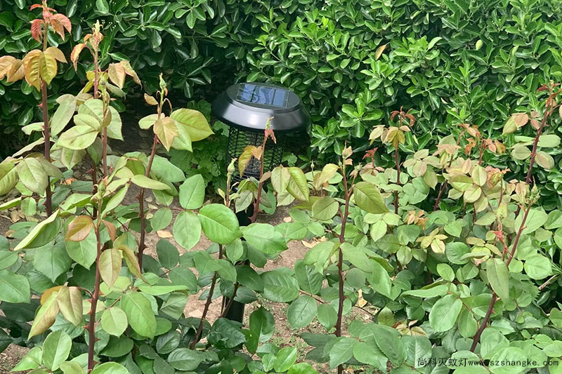 医院安装户外太阳能灭蚊灯