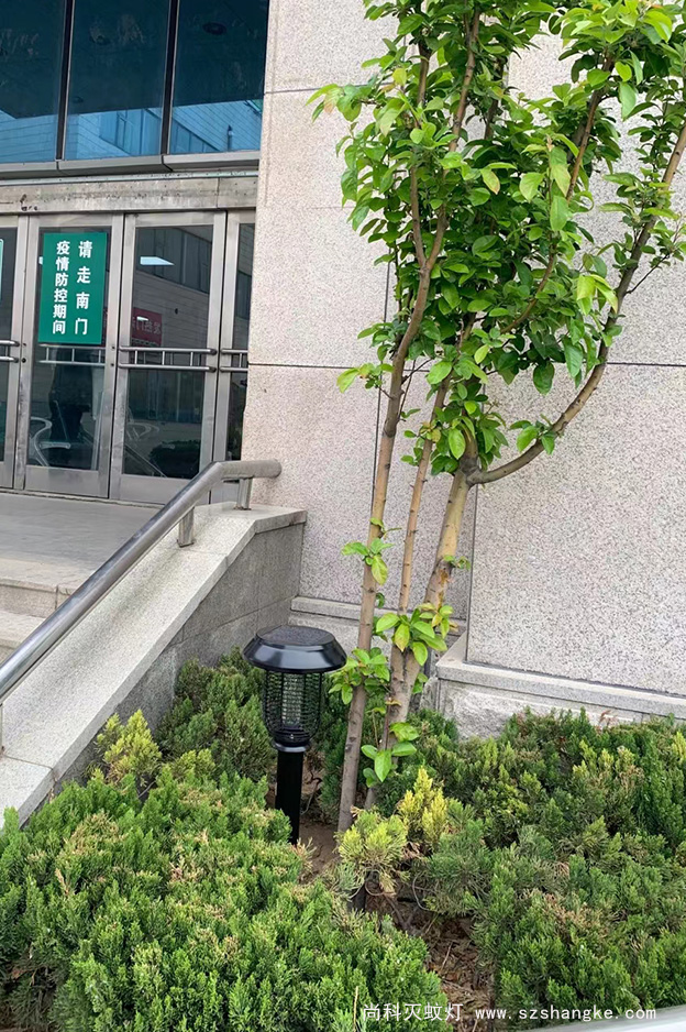 医院安装户外太阳能灭蚊灯