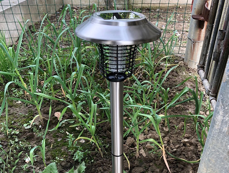 花园蚊子太多了该怎样灭蚊呢