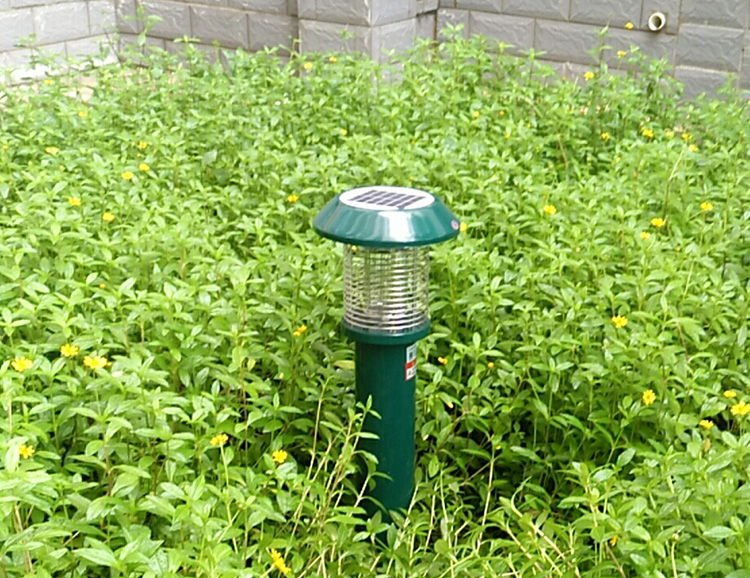 大面积户外蚊子消杀用什么办法